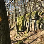 Burgstrasse West Mit Garten Und Sauna *