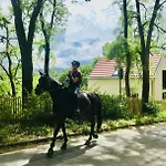 Burgstrasse West Mit Garten Und Sauna Daire