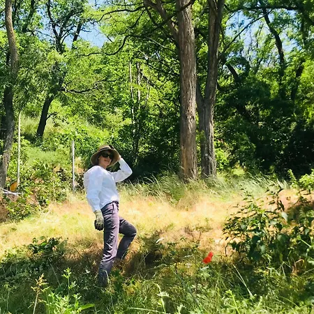 Burgstrasse West Mit Garten Und Sauna Appartamento