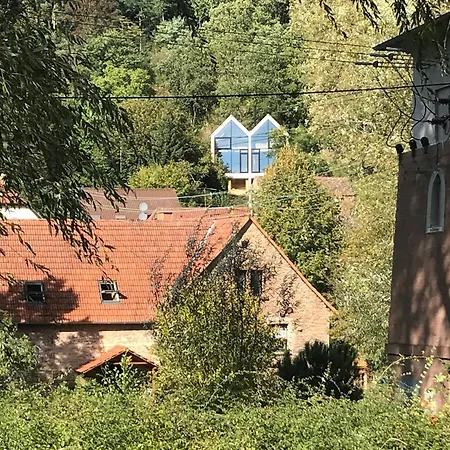 Ferienapartment Burgstrasse West Mit Garten Und Sauna Apartment