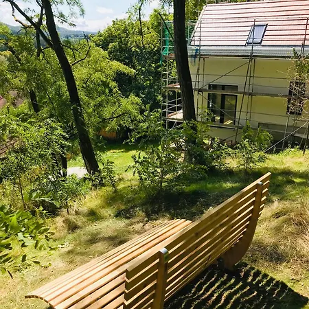 Burgstrasse West Mit Garten Und Sauna * Altleiningen