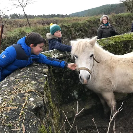 Burgstrasse West Mit Garten Und Sauna * Altleiningen