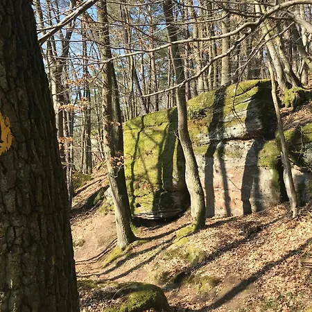 Burgstrasse West Mit Garten Und Sauna *