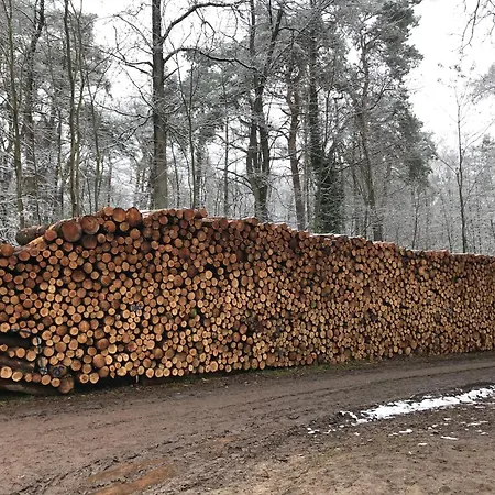 Burgstrasse West Mit Garten Und Sauna