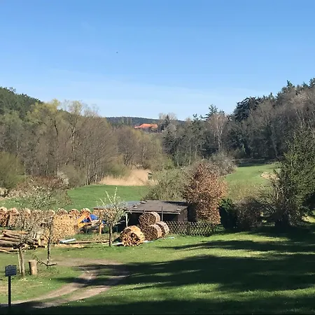 Ferienapartment Burgstrasse West Mit Garten Und Sauna Altleiningen