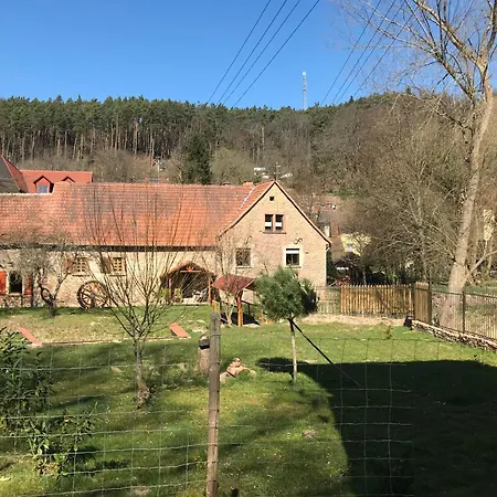 Ferienapartment Burgstrasse West Mit Garten Und Sauna Apartment