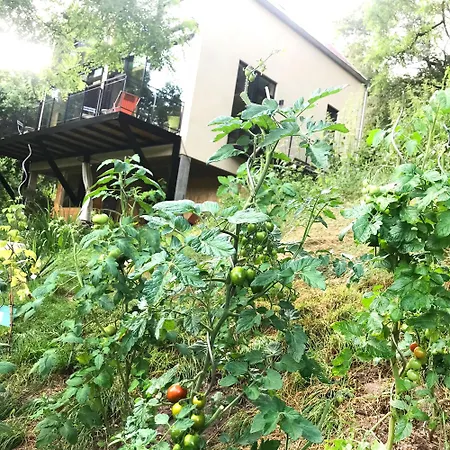 Burgstrasse West Mit Garten Und Sauna Appartamento Altleiningen
