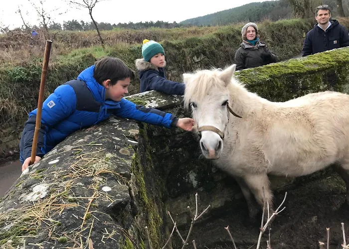 Burgstrasse West Mit Garten Und Sauna * Altleiningen