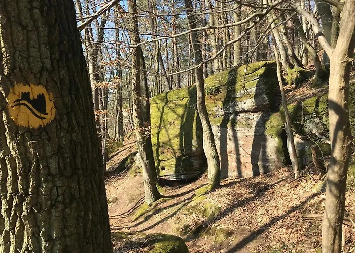 Burgstrasse West Mit Garten Und Sauna *