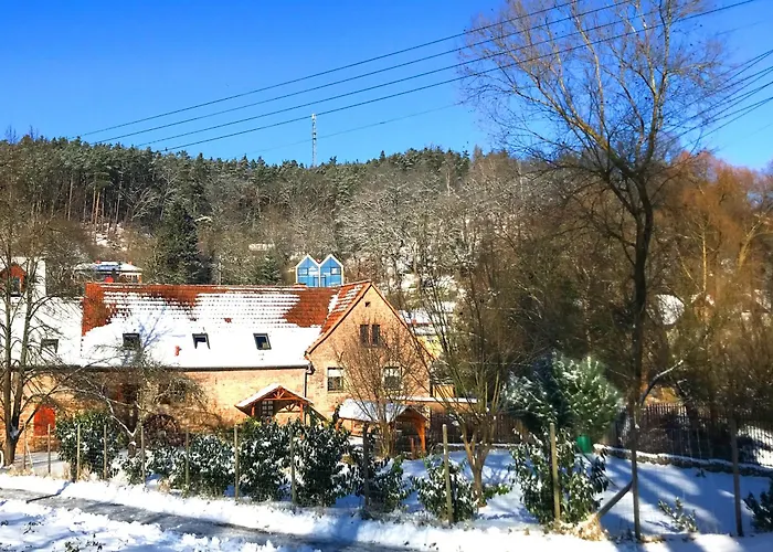 דירה Burgstrasse West Mit Garten Und Sauna Altleiningen