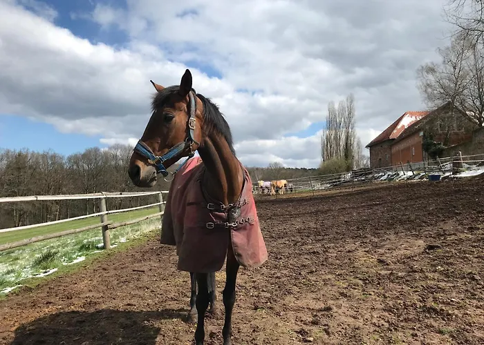 Burgstrasse West Mit Garten Und Sauna דירה *