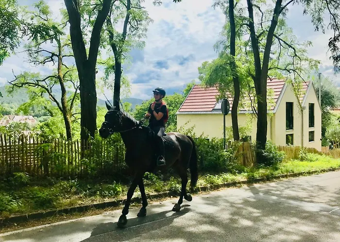 Burgstrasse West Mit Garten Und Sauna דירה